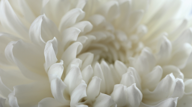 Semi di futuro: educare alla parità, coltivare la speranza