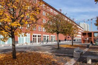 autunno in bicocca